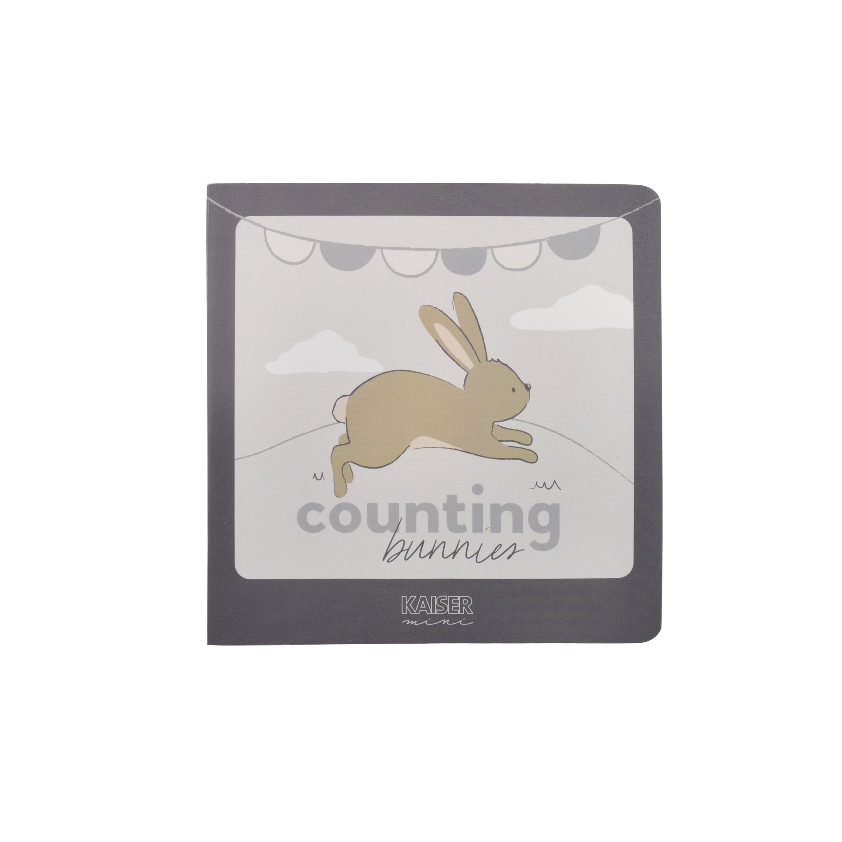 Baby Board Book - Counting Bunnies